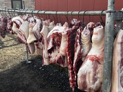 Svinjokolja u Posavskim Podgajcima 2025.