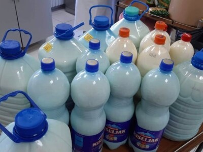 Svjetski dan mlijeka TK Svjetski dan mlijeka TK