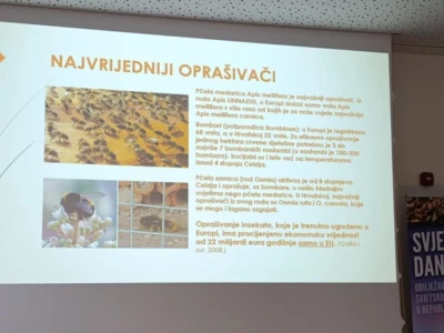 Svjetski dan pčela