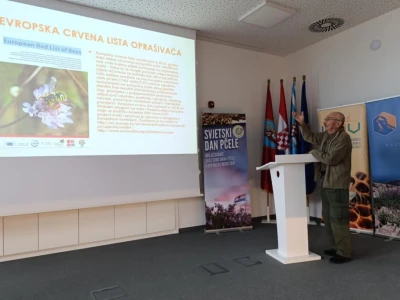 Svjetski dan pčela