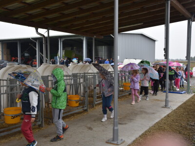 Svjetski dan školskog mlijeka