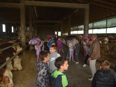 Svjetski dan školskog mlijeka
