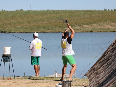 Svjetsko prvenstvo u ribolovu šarana
