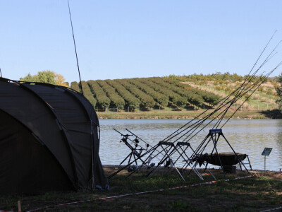 Svjetsko prvenstvo u ribolovu šarana