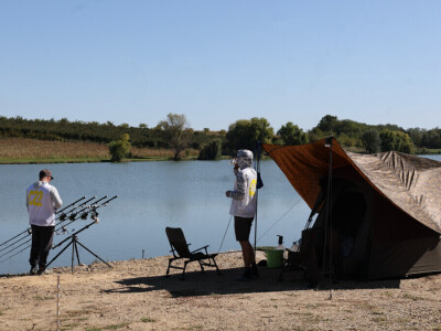 Svjetsko prvenstvo u ribolovu šarana