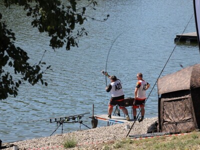 Svjetsko prvenstvo u ribolovu šarana