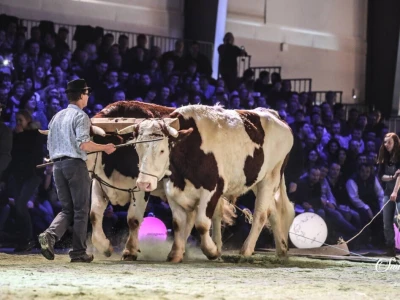 Swiss Expo