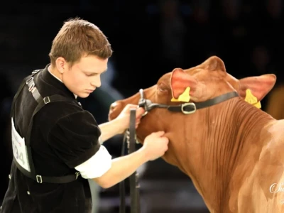 Swiss Expo