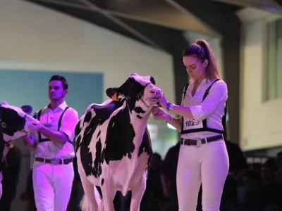 Swiss Expo
