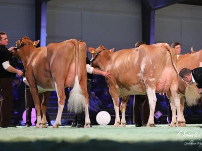 Swiss Expo