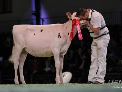 Swiss Expo