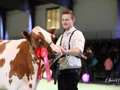 Swiss Expo