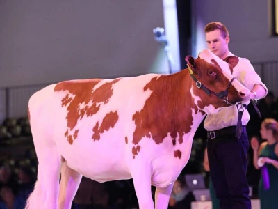 Swiss Expo