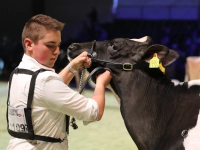 Swiss Expo