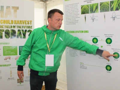 Branko Glavaš o genetici Hyvido ječma