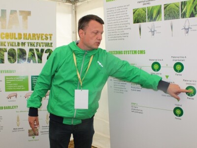 Branko Glavaš o genetici Hyvido ječma