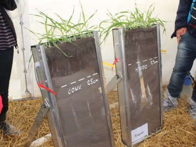 Razlika između konvencionalnog uzgoja i Hyvido ječma