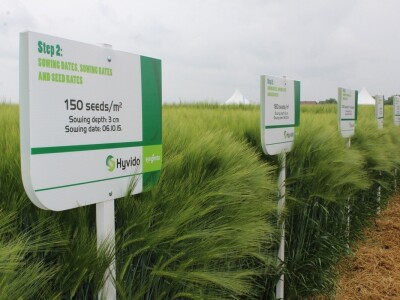 Syngenta međunarodni dan Hyvido ječma