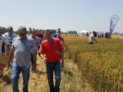 Syngenta - Centralni dan polja 2018, Višnjica