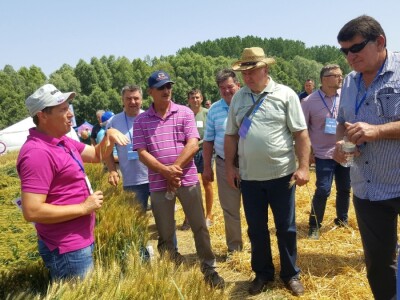 Syngenta - Centralni dan polja 2018, Višnjica