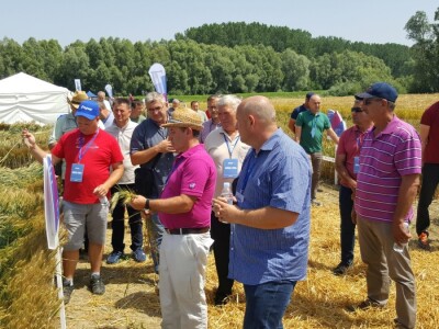 Syngenta - Centralni dan polja 2018, Višnjica