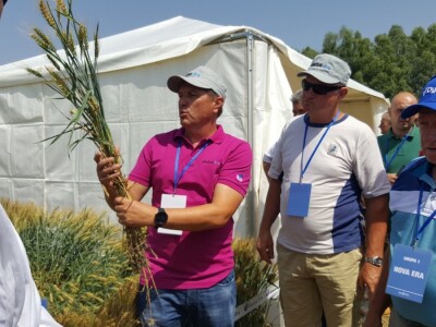 Syngenta - Centralni dan polja 2018, Višnjica