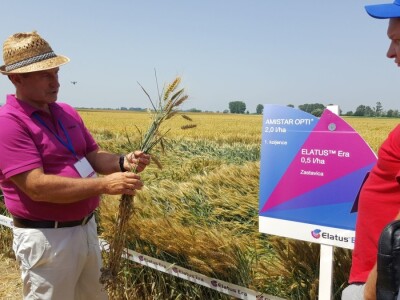 Syngenta - Centralni dan polja 2018, Višnjica