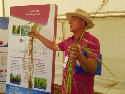 Syngenta - Centralni dan polja 2018, Višnjica