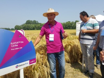 Syngenta - Centralni dan polja 2018, Višnjica