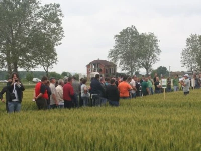 Syngenta