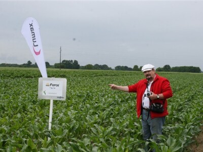 g. Pavošević i Force