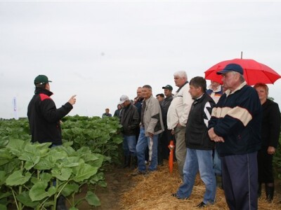 Syngenta - Centralni dani polja, Veliškovci