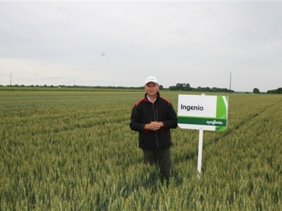 Kiša nije spriječila prijenos informacija