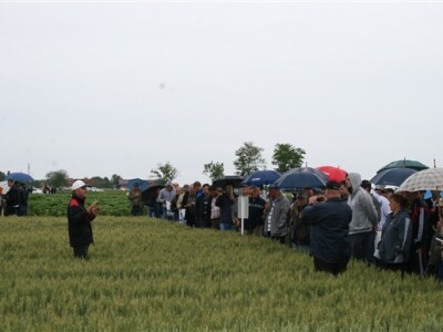 Kiša nije spriječila prijenos informacija