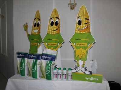 Nova Syngenta kukuruzna snaga - SY Arioso, Sy Dartona i SY Kreon!
