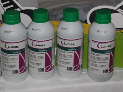 Lumax - izbornik svih izbornika!