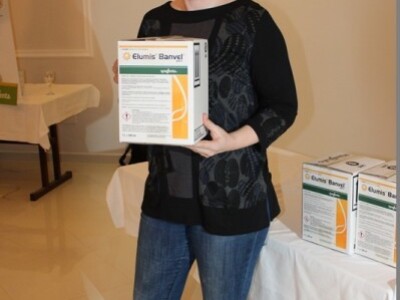 Što to Elizabeta dijeli?