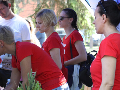 Syngenta Centralni dan polja