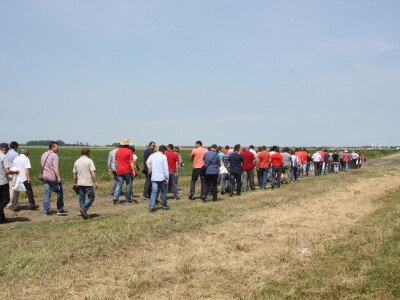 Syngenta Centralni dan polja