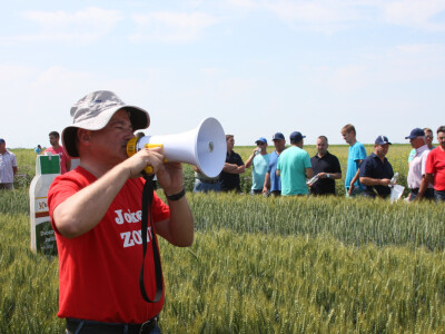 Syngenta Centralni dan polja