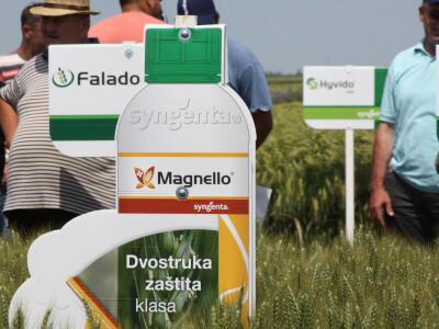 Syngenta Centralni dan polja