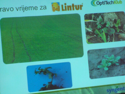 Syngenta Dan polja uljane repice i šećerne repe