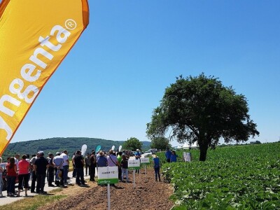 Syngenta Dani polja 2018