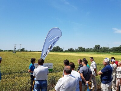 Syngenta Dani polja 2018