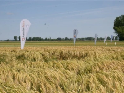 Syngenta Centralni dani polja 2014.