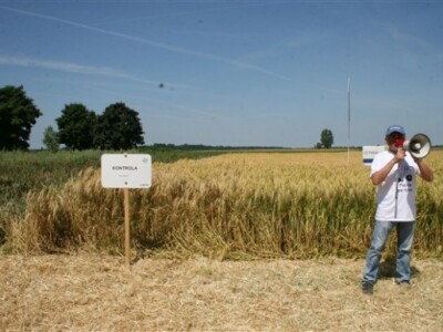 Syngenta Centralni dani polja 2014.