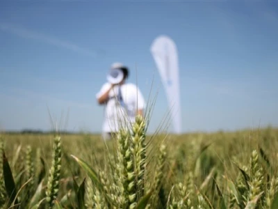 Syngenta Centralni dani polja 2014.