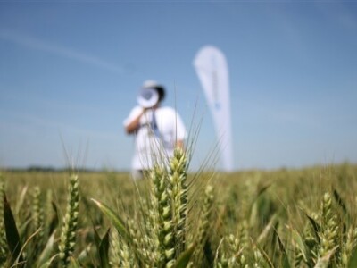 Syngenta Centralni dani polja 2014.