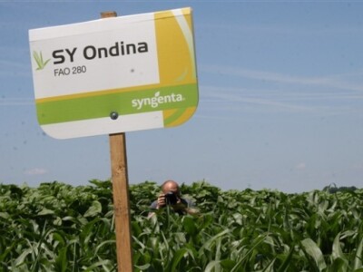 Syngenta Centralni dani polja 2014.