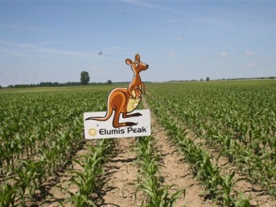 Syngenta Centralni dani polja 2014.